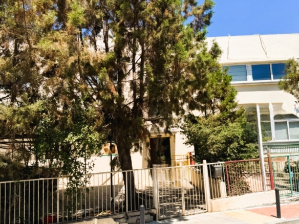 Elegant and classic upper house for Rent