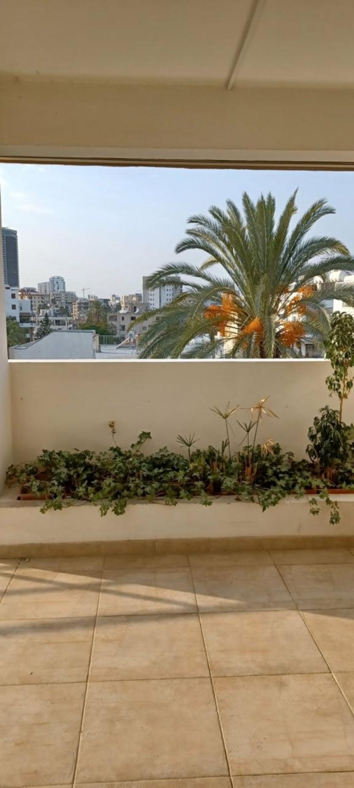 Spacious and elegant apartment for Rent